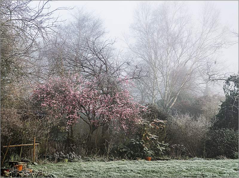 Garden Mist and Three Pigeons_Barry Freeman_Set.jpg - Print Comp - Set 231017